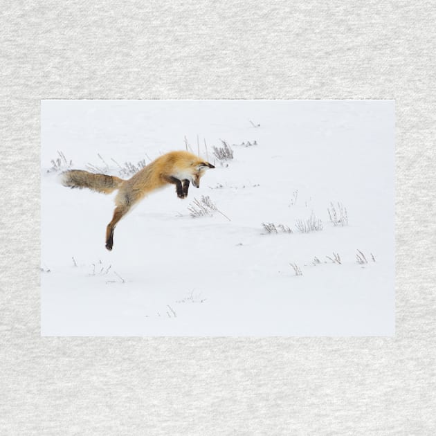 Fox Diving Headfirst into Snow by kawaii_shop